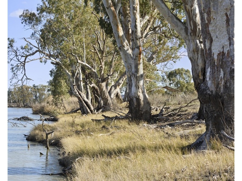 Lot 123 Murraylands Road, Swan Reach SA 5354