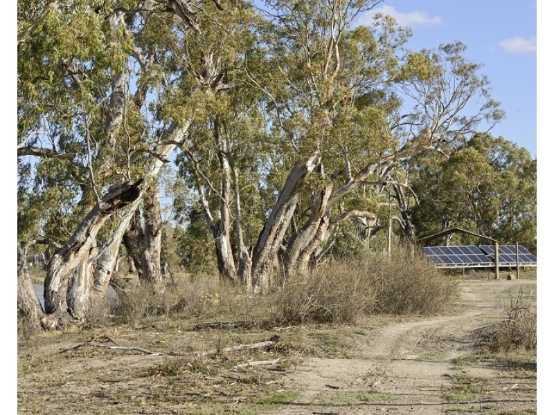 Lot 123 Murraylands Road, Swan Reach SA 5354