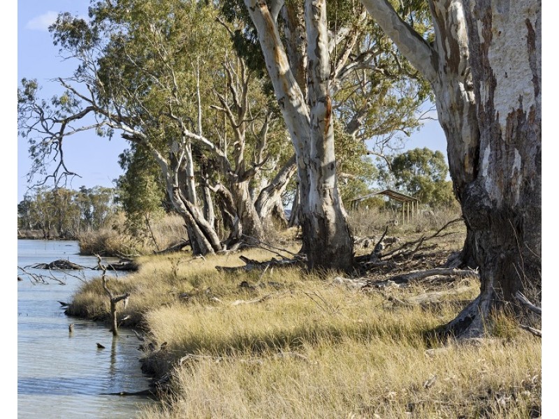 Lot 123 Murraylands Road, Swan Reach SA 5354