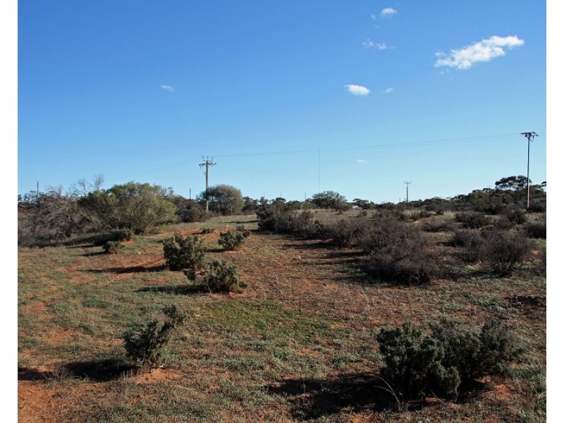Lot 21 and and Pieces 22 and 23 Old Sturt Highway, Berri SA 5343