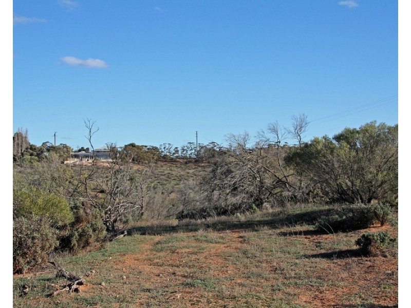 Lot 21 and and Pieces 22 and 23 Old Sturt Highway, Berri SA 5343