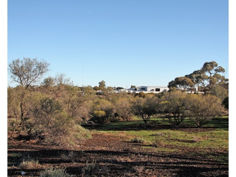 Lot 21 and and Pieces 22 and 23 Old Sturt Highway, Berri SA 5343