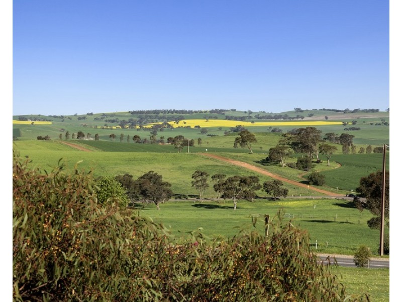 10 Amelia Street, Kapunda SA 5373