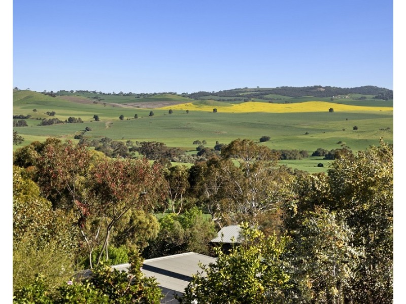 10 Amelia Street, Kapunda SA 5373