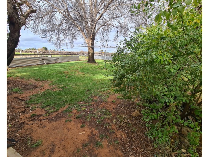 104 Paroo St, Renmark North SA 5341