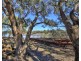 28A Brand Drive, Loxton SA 5333