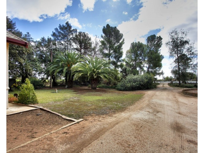 314 Old Sturt Highway, Glossop SA 5344
