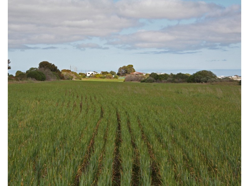 Lots 264 – 266 Beegoodye Wells Rd, Hardwicke Bay SA 5575