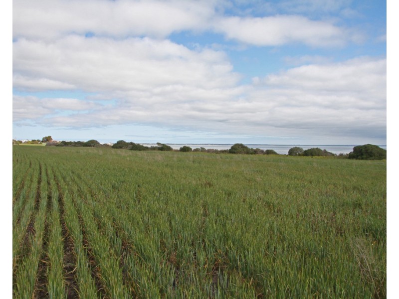 Lots 264 – 266 Beegoodye Wells Rd, Hardwicke Bay SA 5575
