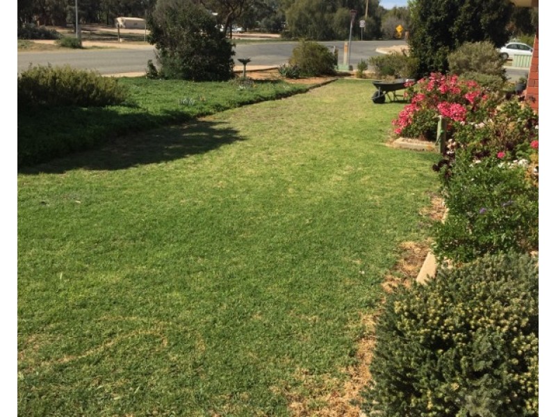 19 Thayne Tce, Lyrup SA 5343