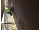 19 Thayne Tce, Lyrup SA 5343