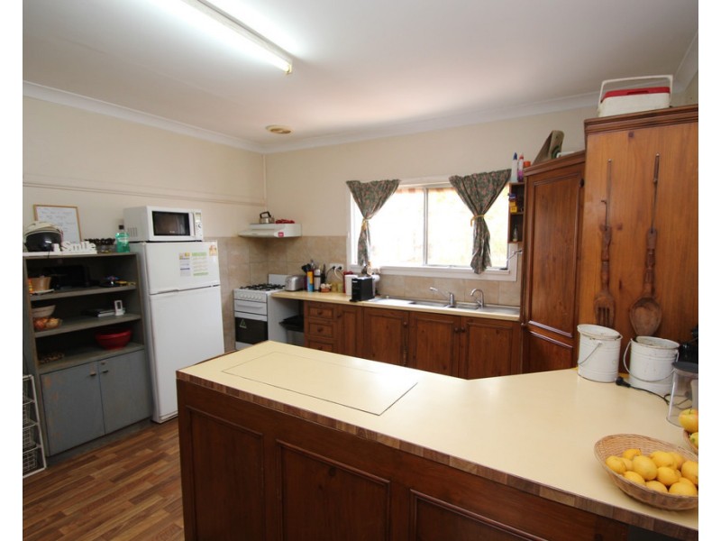 49 Tapio Street, Renmark SA 5341