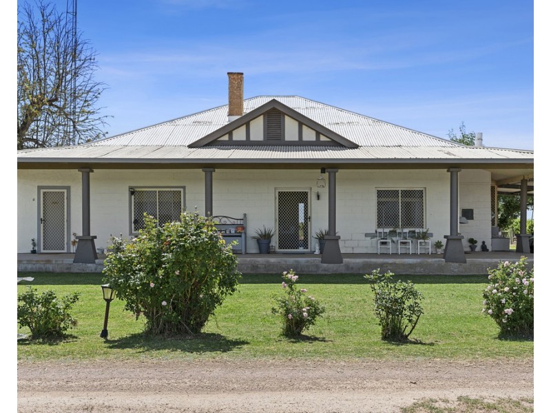 202 Nelbuck Street, Renmark SA 5341