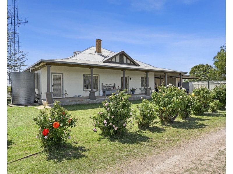 202 Nelbuck Street, Renmark SA 5341