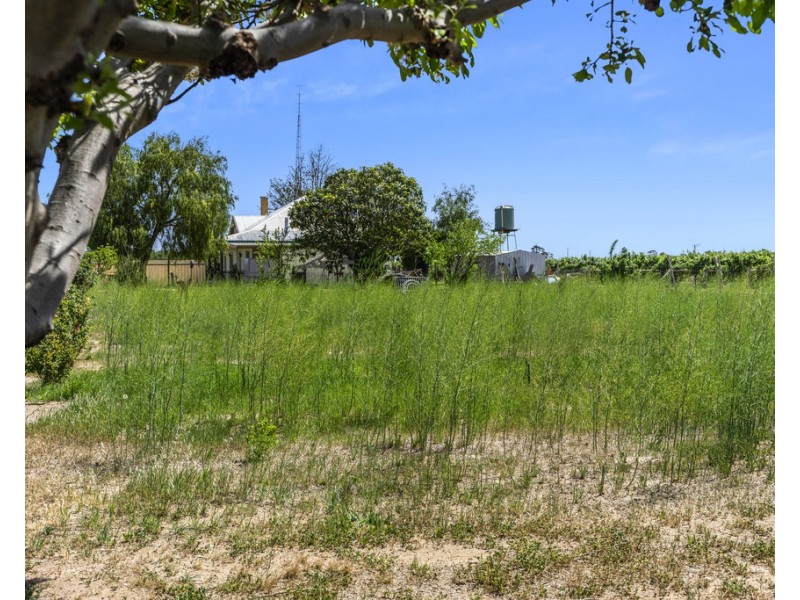 202 Nelbuck Street, Renmark SA 5341