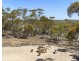 3117 Murbko Road, Cadell SA 5321