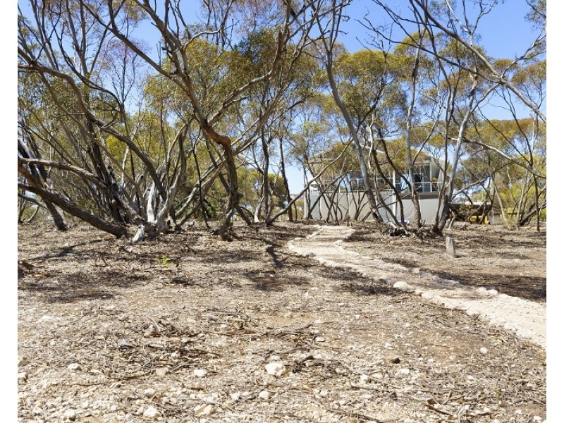 3117 Murbko Road, Cadell SA 5321