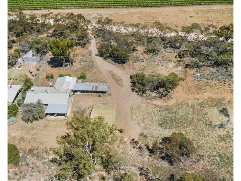 92 Riverboat Road, Cadell SA 5321