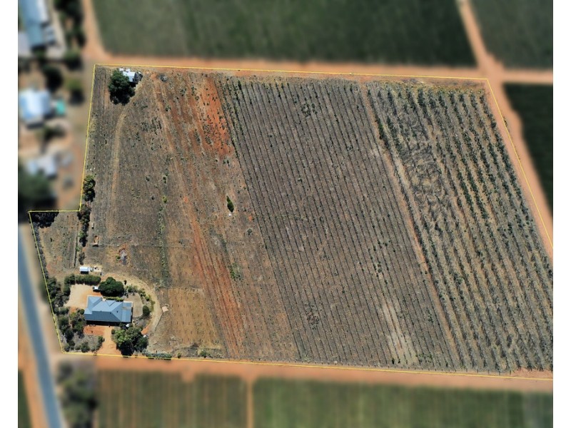 74 KIBBY ROAD, Loxton SA 5333
