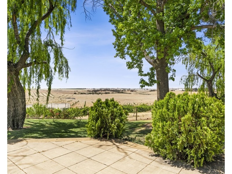 627 and 629 Taylorville Road, Waikerie SA 5330