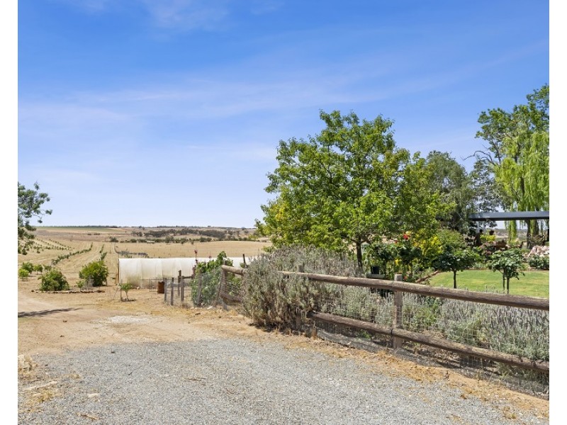627 and 629 Taylorville Road, Waikerie SA 5330