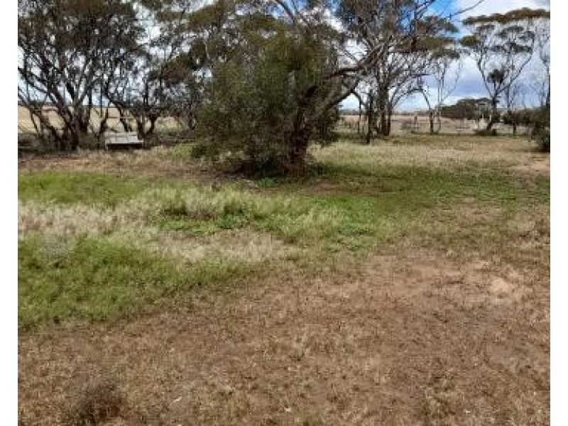 Lot 769 Ridley Road, Sedan SA 5353