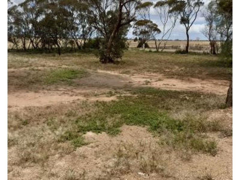 Lot 769 Ridley Road, Sedan SA 5353