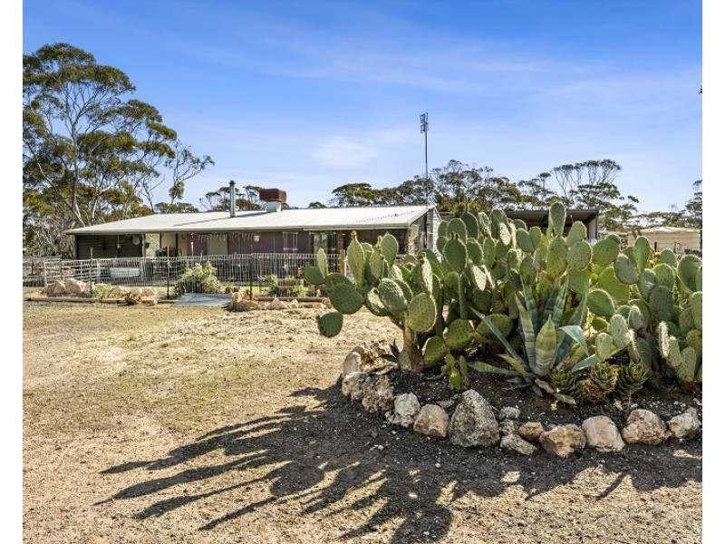 469 Bedrock Road, Swan Reach SA 5354