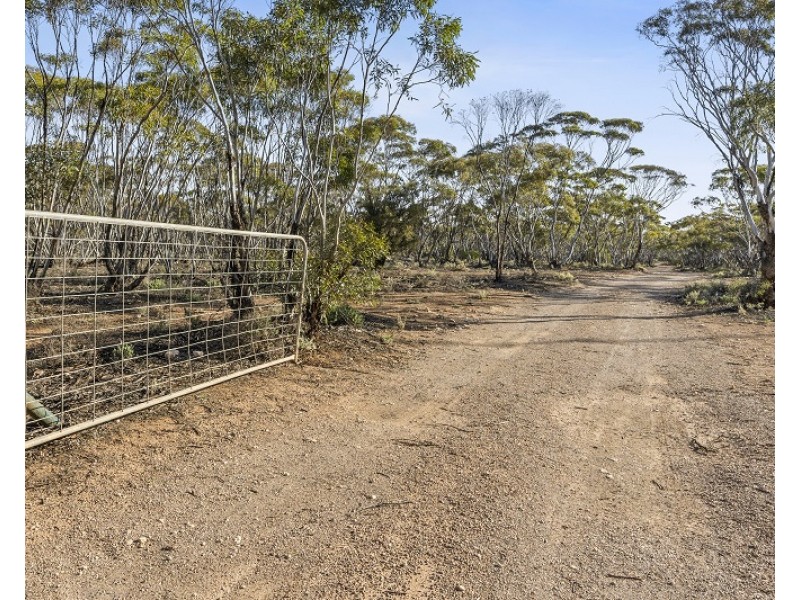 469 Bedrock Road, Swan Reach SA 5354