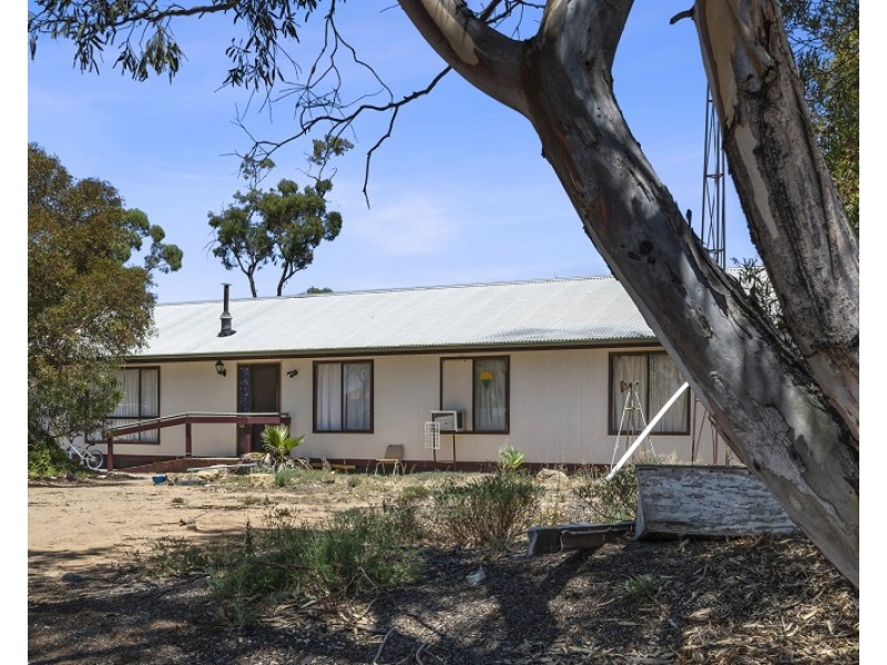 5 Federal Street, Morgan SA 5320