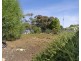 5 Federal Street, Morgan SA 5320
