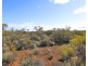 Lot 106 Lovers Lane, Morgan SA 5320