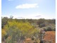 Lot 106 Lovers Lane, Morgan SA 5320