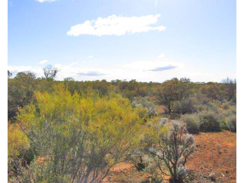 Lot 106 Lovers Lane, Morgan SA 5320