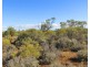 Lot 106 Lovers Lane, Morgan SA 5320