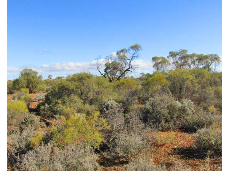 Lot 106 Lovers Lane, Morgan SA 5320