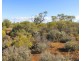 Lot 106 Lovers Lane, Morgan SA 5320