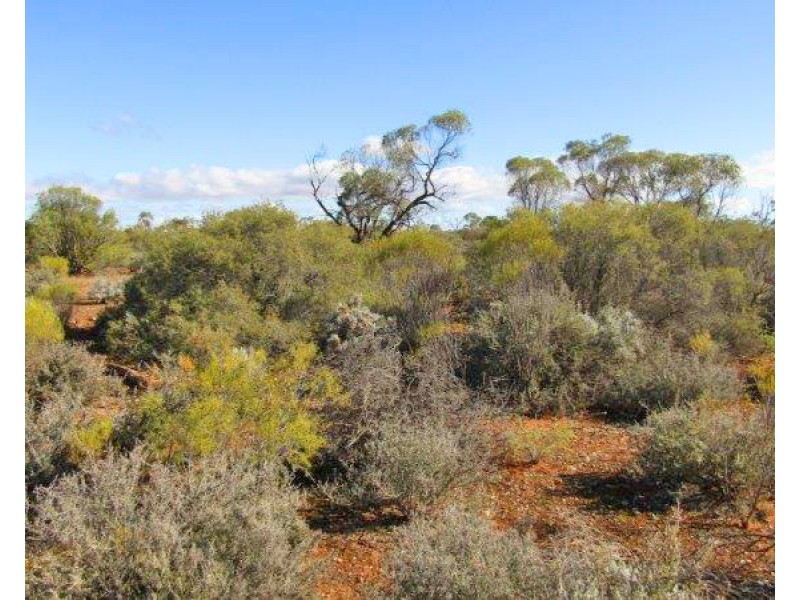 Lot 106 Lovers Lane, Morgan SA 5320