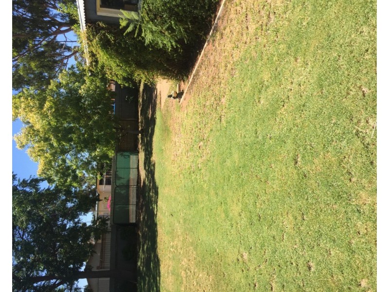 14 Coral Street, Loxton SA 5333