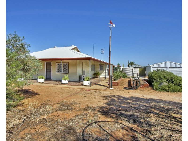246 Dalziel Road, Winkie SA 5343