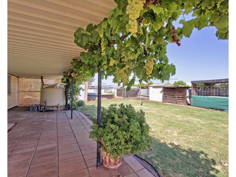 246 Dalziel Road, Winkie SA 5343