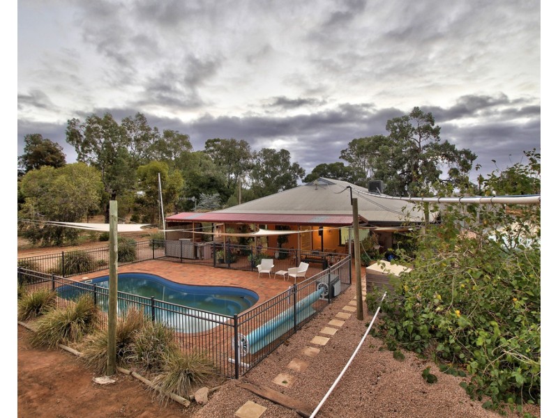 76 Chowilla Street, Renmark SA 5341