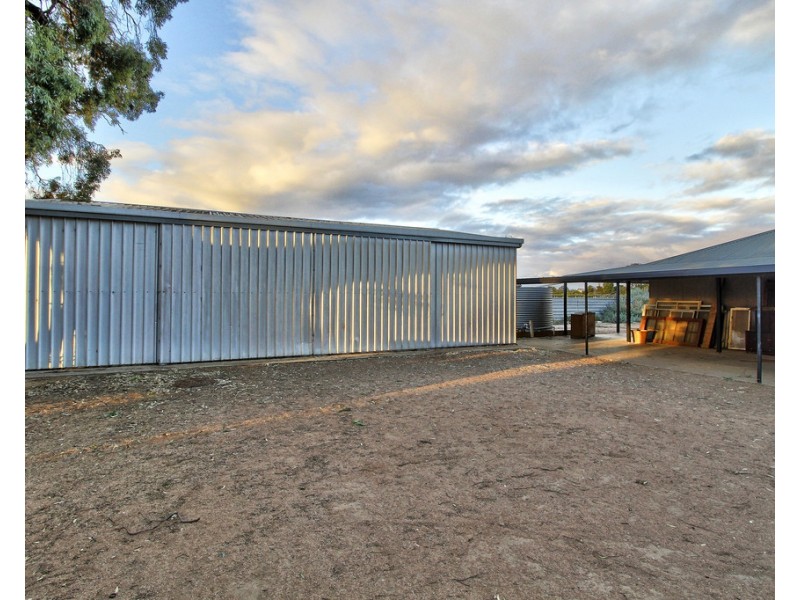 76 Chowilla Street, Renmark SA 5341