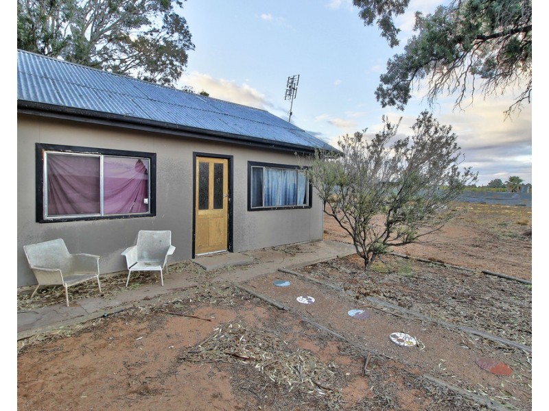 76 Chowilla Street, Renmark SA 5341