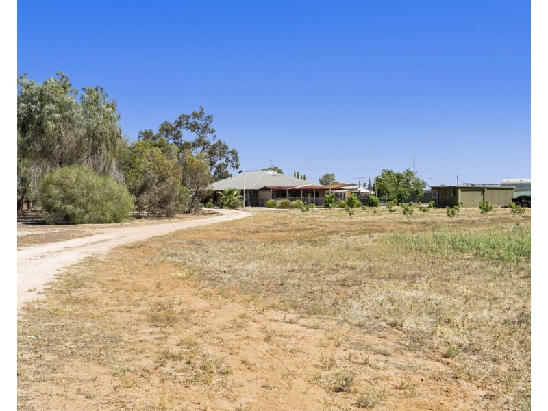 76 Chowilla Street, Renmark SA 5341