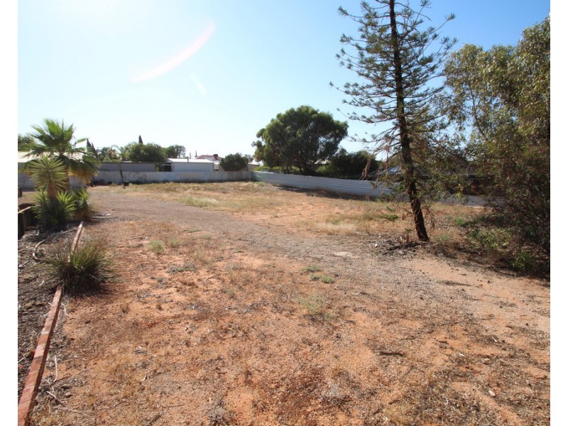 22 Joyce Avenue, Paringa SA 5340