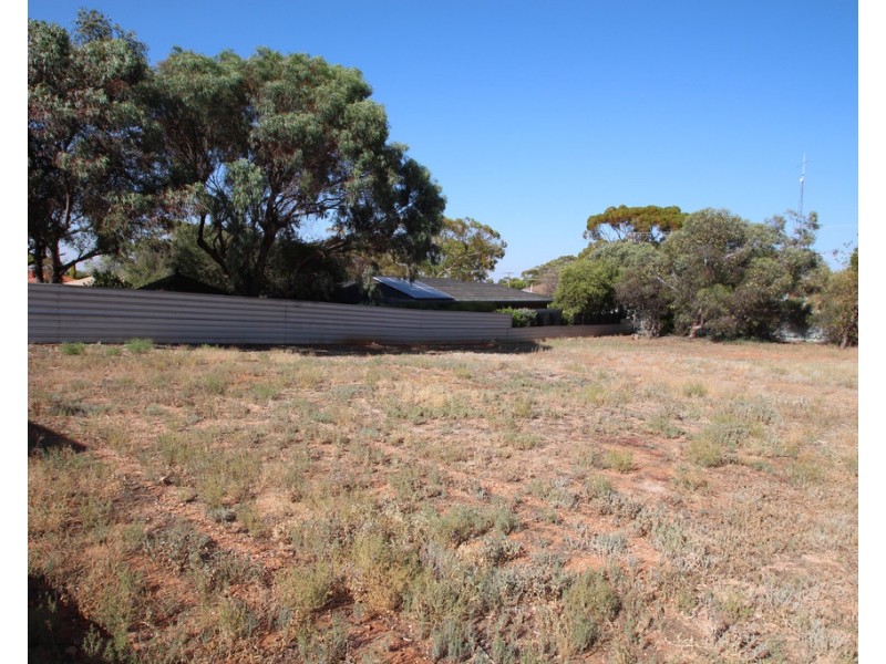 22 Joyce Avenue, Paringa SA 5340