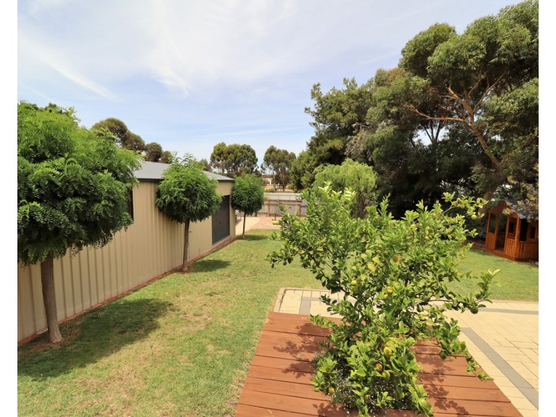 54 Hensley Street, Pinnaroo SA 5304
