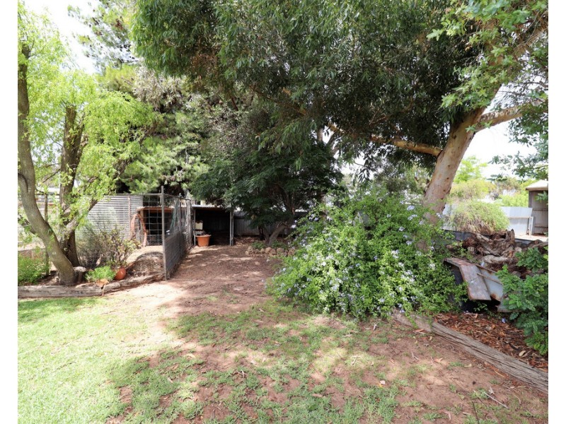 54 Hensley Street, Pinnaroo SA 5304