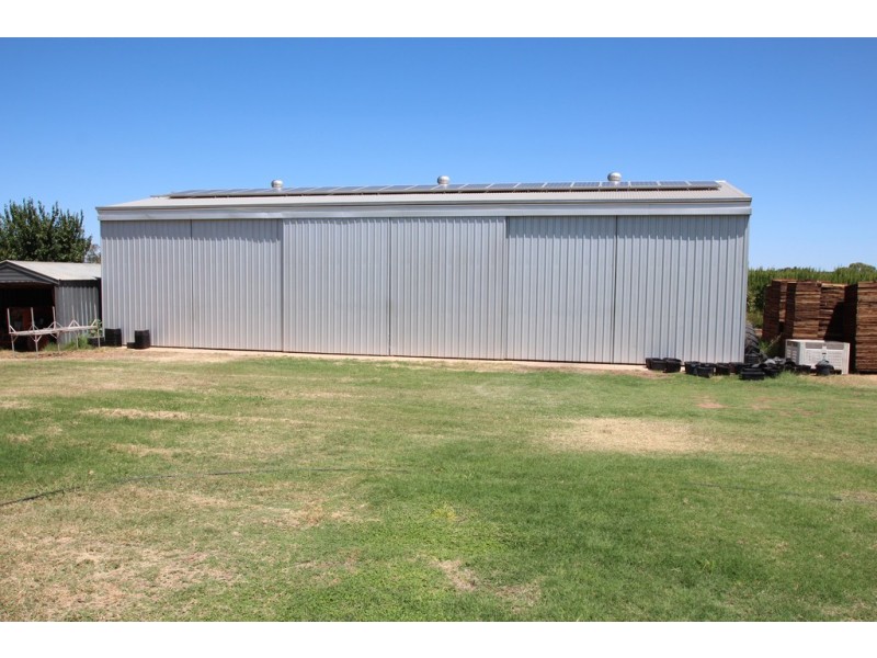 34 Government Road, Renmark SA 5341